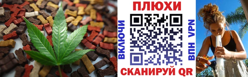 Canna-Cookies конопля  Тбилисская 