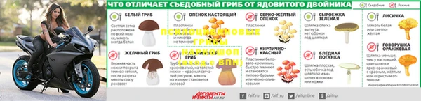 jwh Абаза