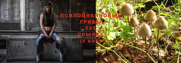 амф Абинск