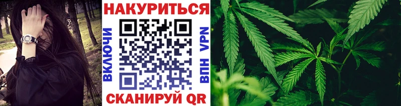omg маркетплейс Тбилисская Шишки марихуана план как найти закладки